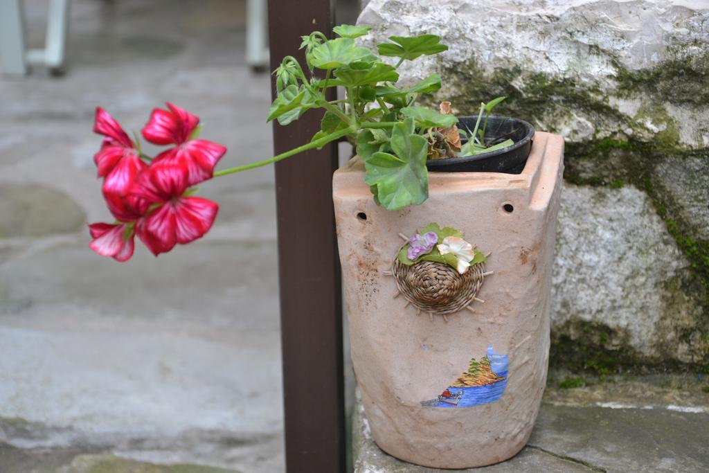 Bujtina Kodiket Guesthouse Berat Buitenkant foto